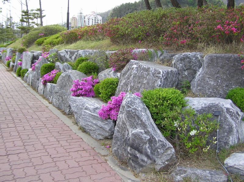 자체보유돌차운반!직접판매!신속정확한 납품!!!